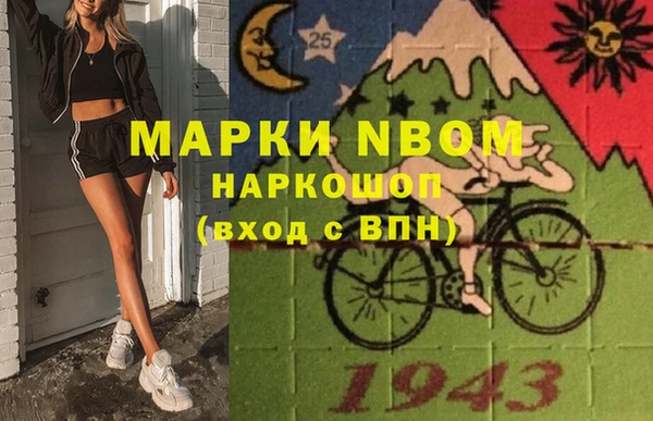 стаф Арсеньев