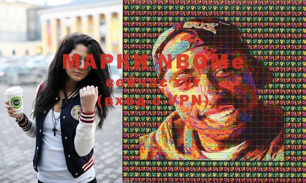 стаф Арсеньев