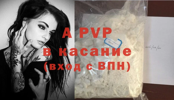 стаф Арсеньев