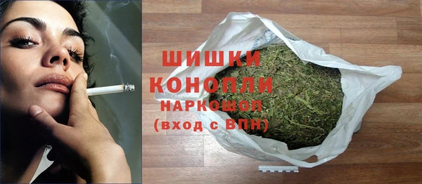 стаф Арсеньев