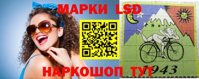 spice Гатчина