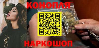 spice Гатчина