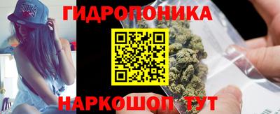 spice Гатчина