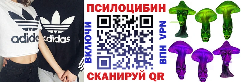 Псилоцибиновые грибы Psilocybine cubensis  Мытищи 