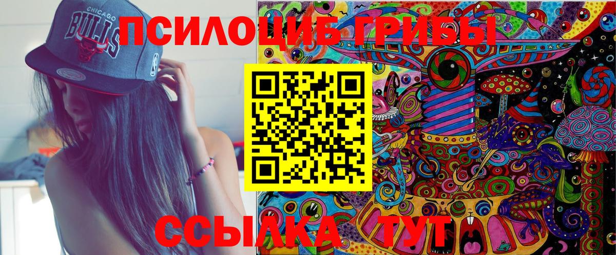 Псилоцибиновые грибы мицелий Мытищи