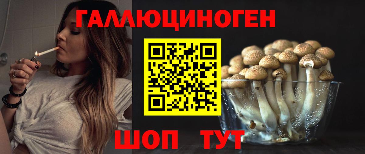 Галлюциногенные грибы прущие грибы  Псилоцибиновые грибы MAGIC MUSHROOMS  Вход с VPN  Мытищи 