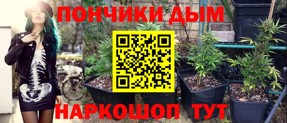 Шишки марихуана сатива  Марихуана ГИДРОПОН  Конопля THC 21%  Вход с VPN  Мытищи 